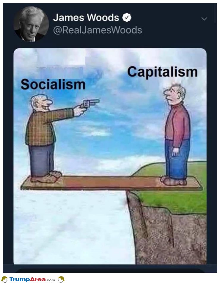 Socialism In A Nutshell