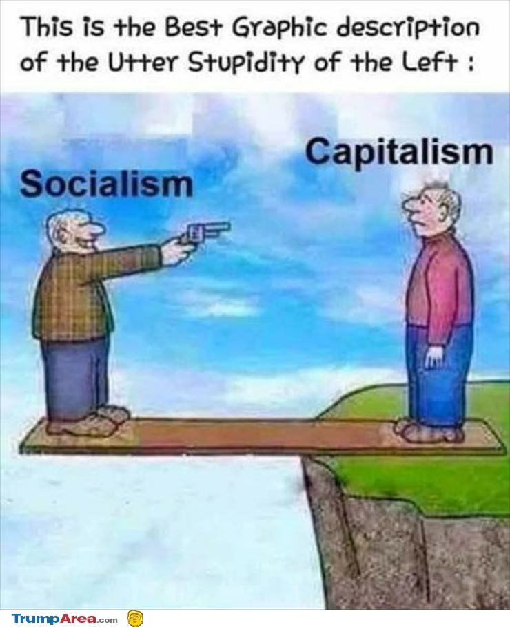 Socialism In A Nutshell