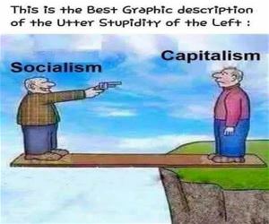 Socialism In A Nutshell