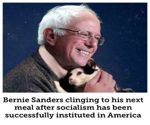 Socialism Instituted In America