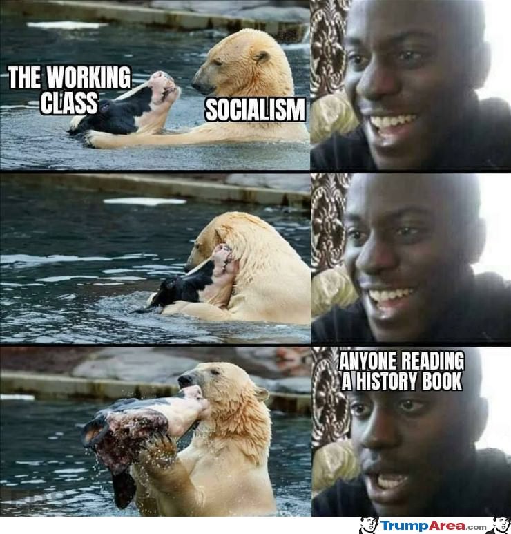 Socialism