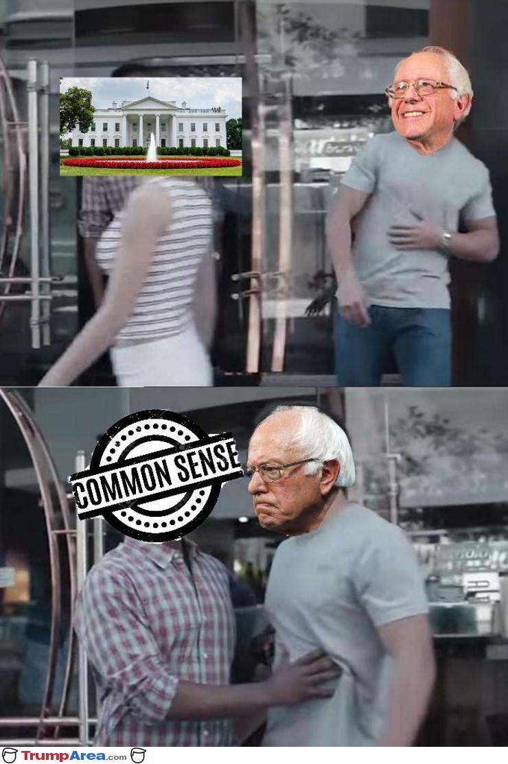 Sorry Bernie