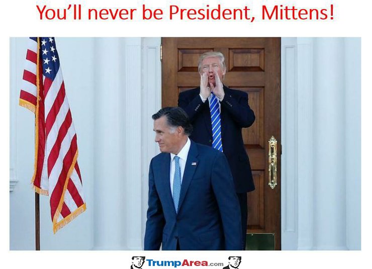 Sorry Mittens