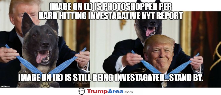 Still Being Investigated