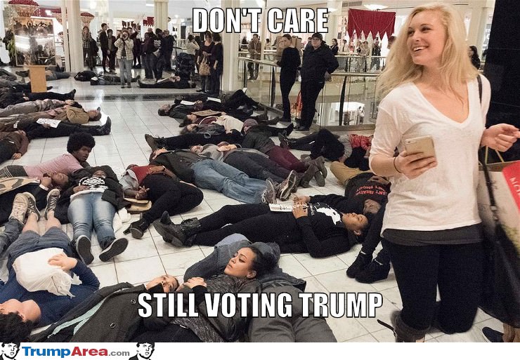 Still Voting Trump