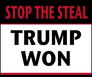 Stop The Steal