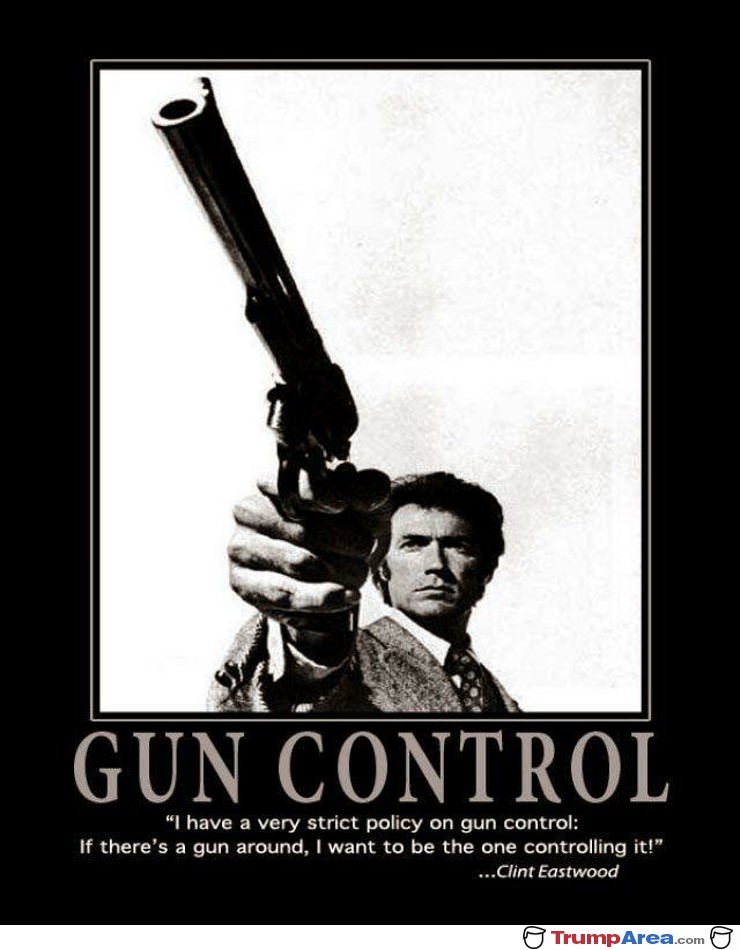 Strict Gun Control Policy