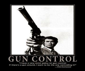 Strict Gun Control Policy