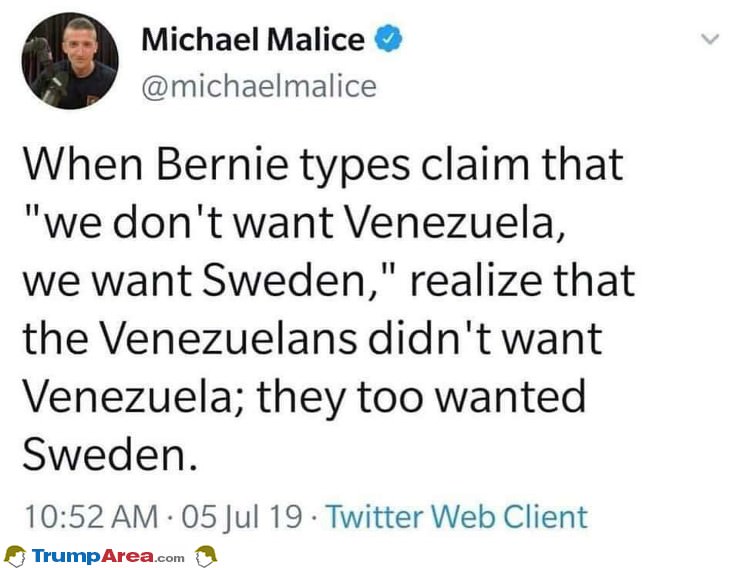 Stupid Bernie