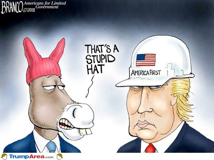 Stupid Hat