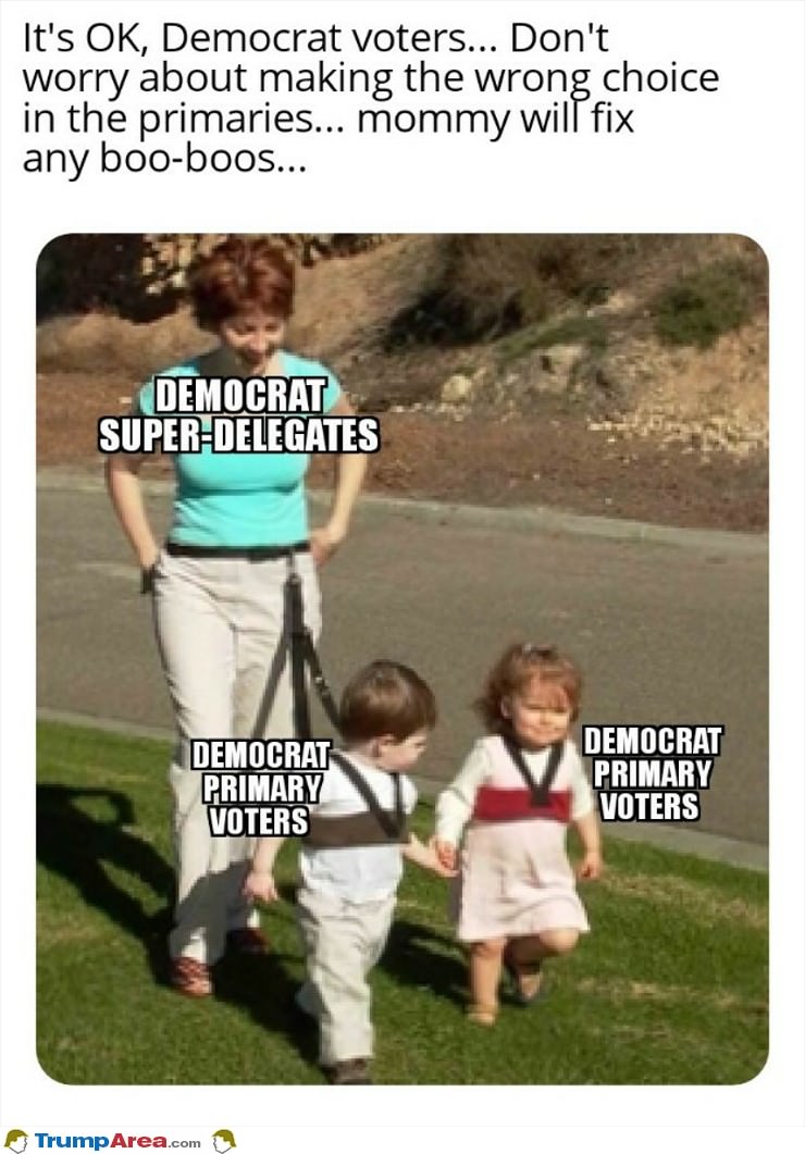 Super Delegates