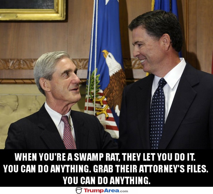 Swamp Rats