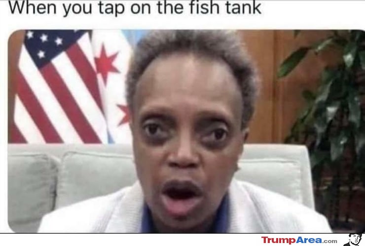 Tap On The Fish Tank