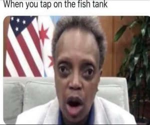 Tap On The Fish Tank