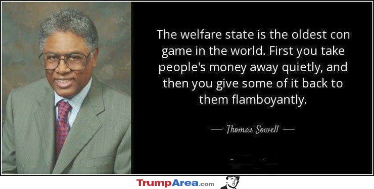 Te Welfare State
