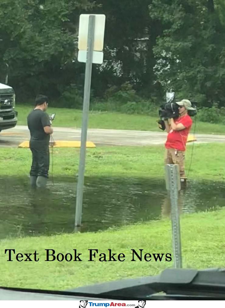Text Book Fake News