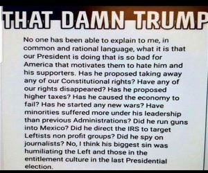 That Damn Trump