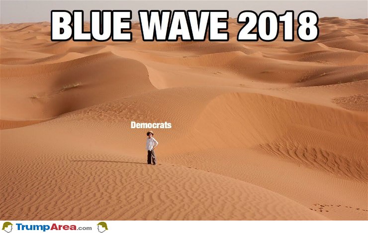The 2018 Blue Wave