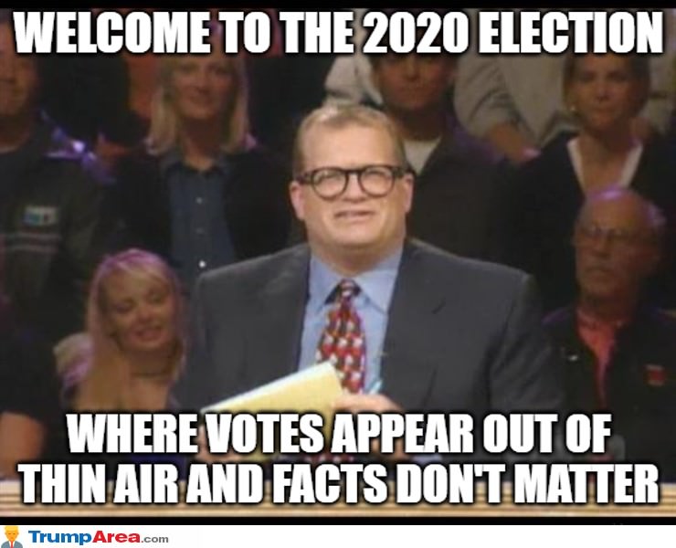 The 2020 Election