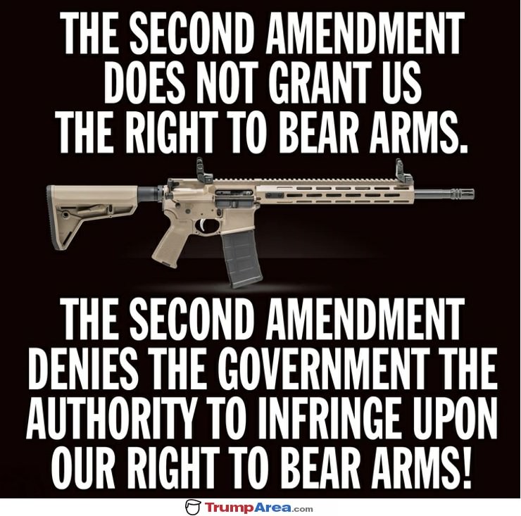 The 2Nd Ammendment