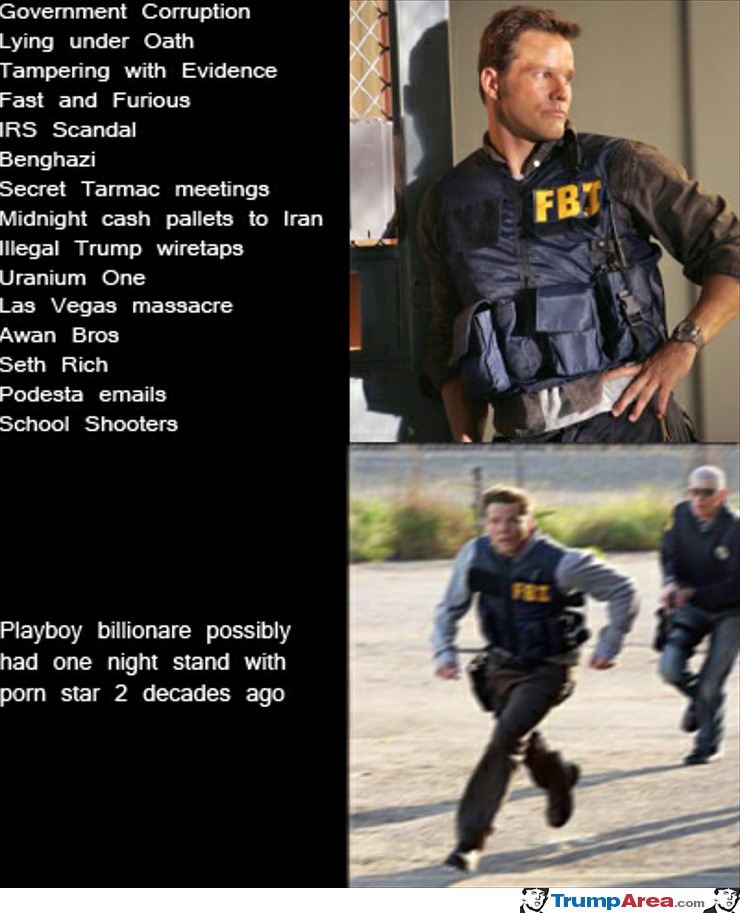 the FBI in a nutshell