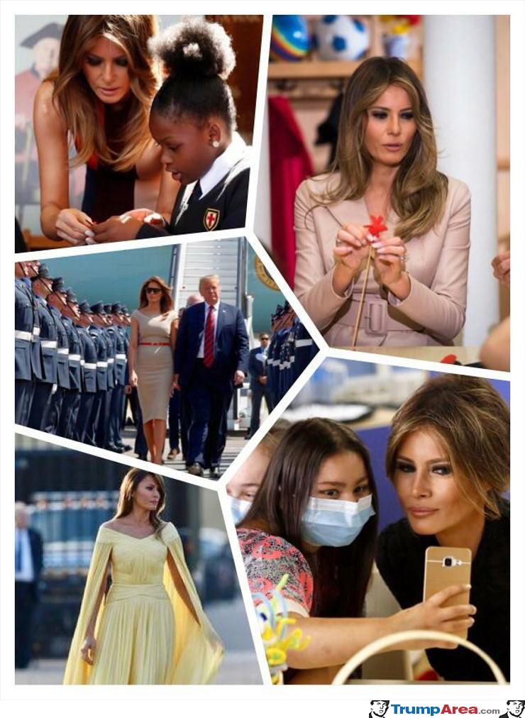 the FLOTUS