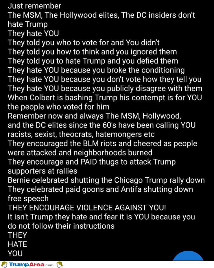 the MSM hates you