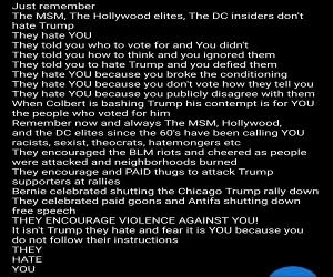 the MSM hates you