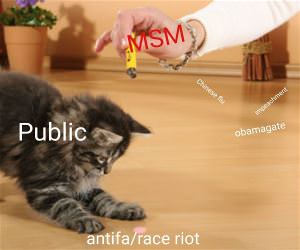 the MSM