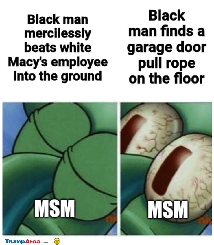 the MSM