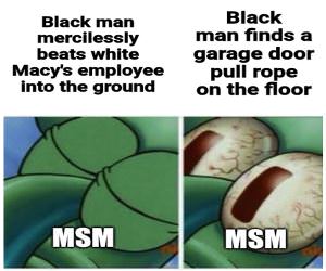 the MSM