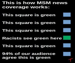 the MSM