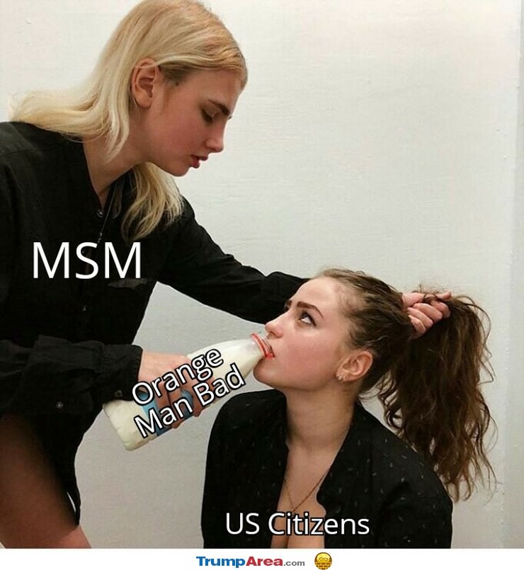 the MSM