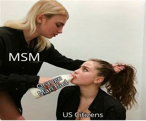 the MSM