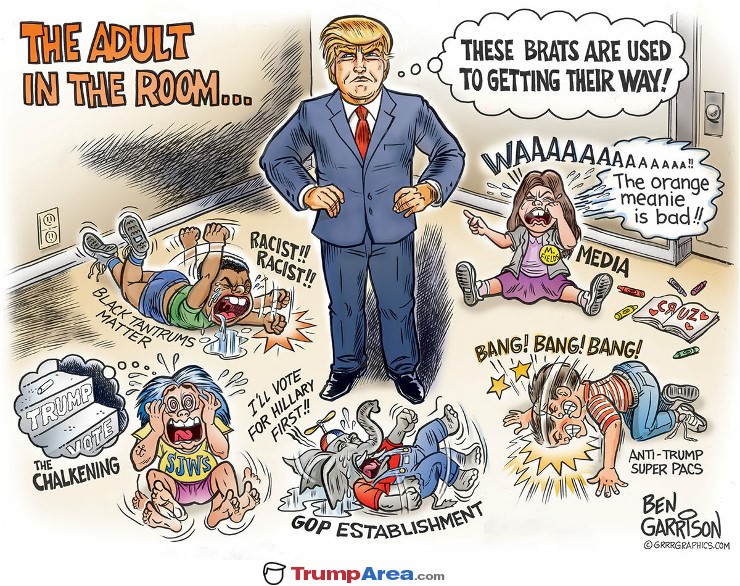 The Adult In The Room