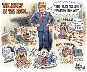 The Adult In The Room