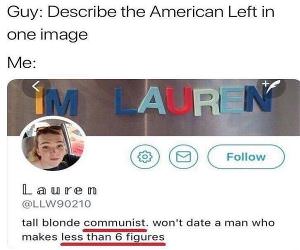 The American Left In One Image