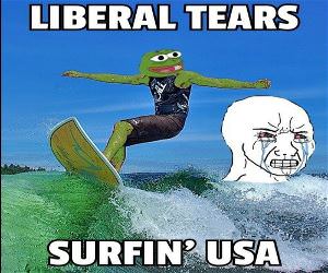 The Blue Wave