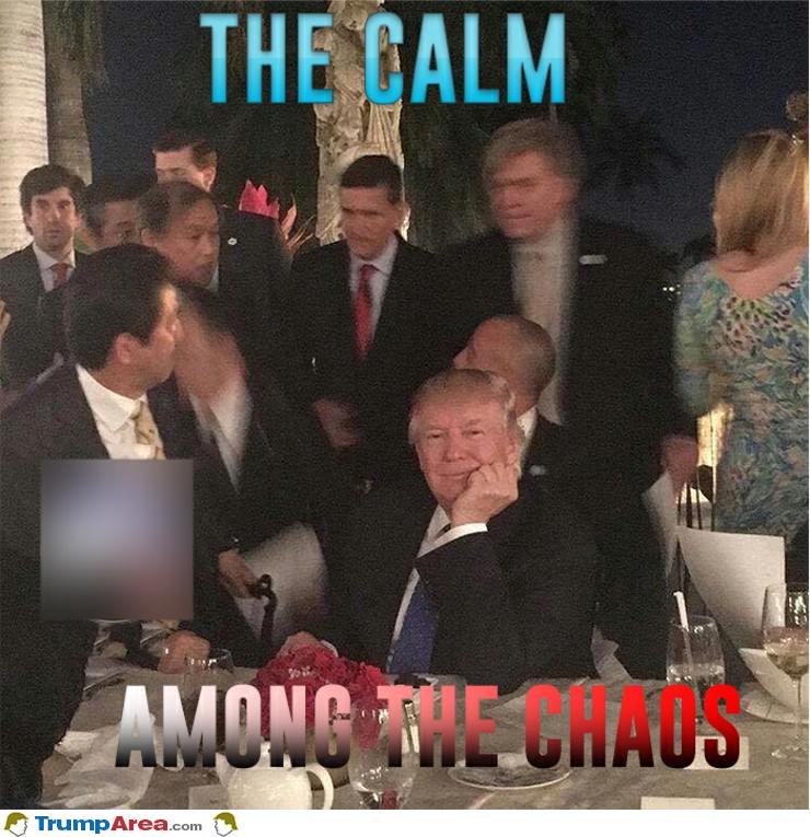 The Calm Among The Chaos
