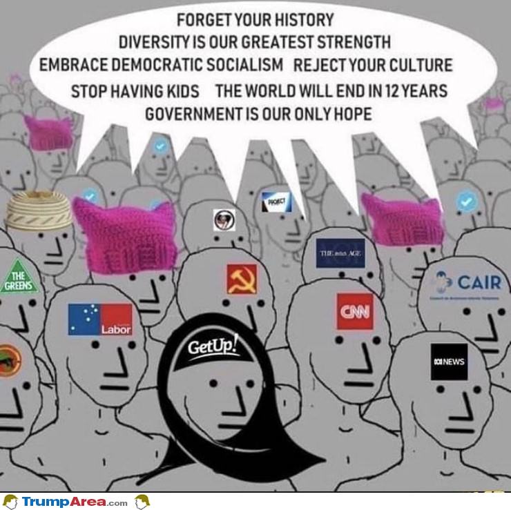 the democrat NPC army