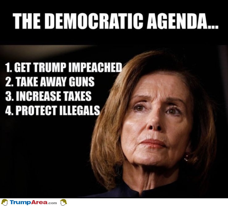 The Democrat Agenda