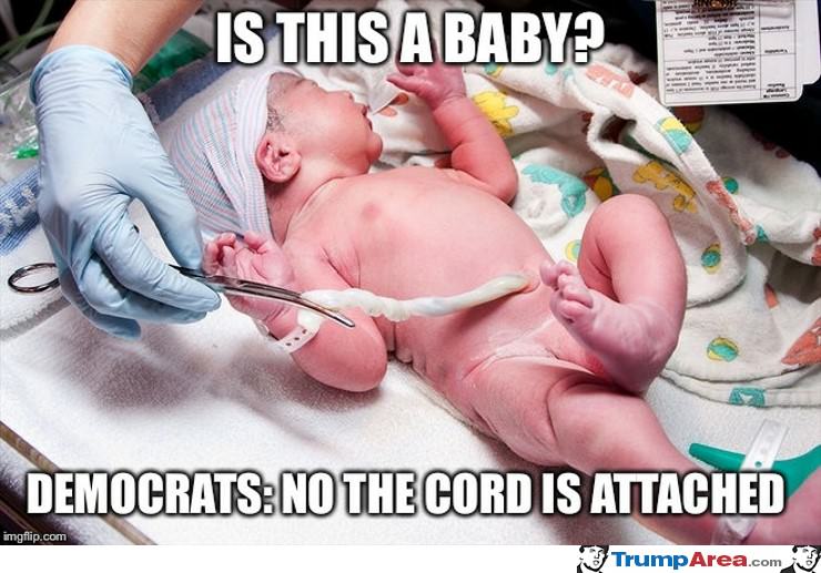 The Democrat Logic On Babies