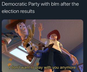 The Democrat Party