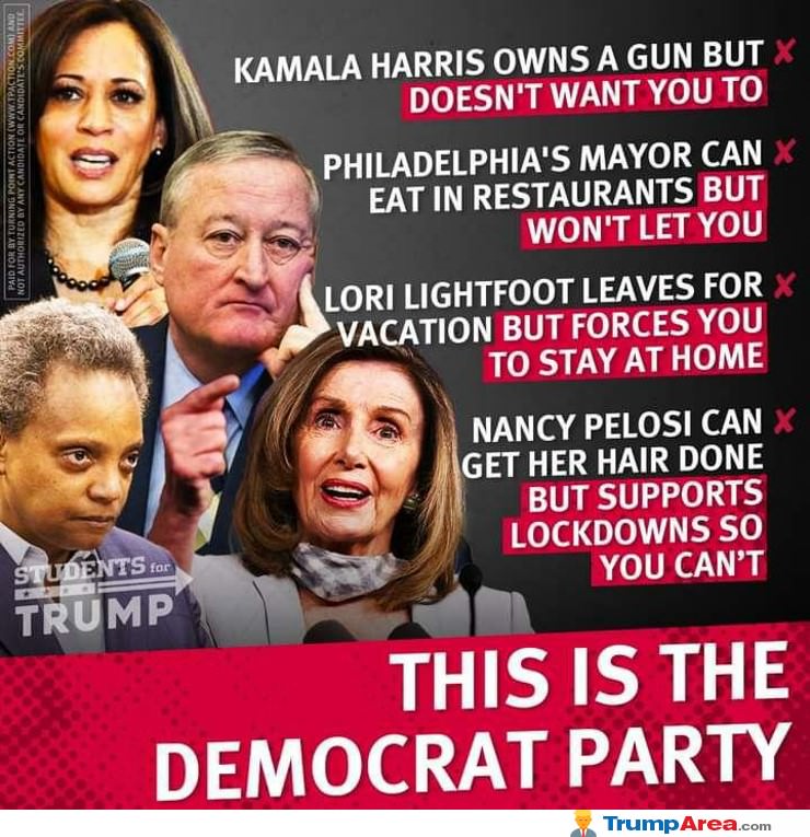The Democrat Party