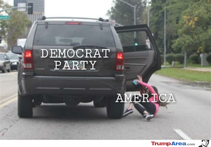 The Democrat Party