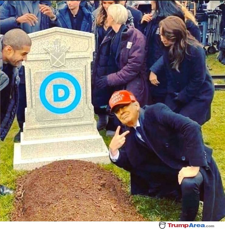 The Democrat Party