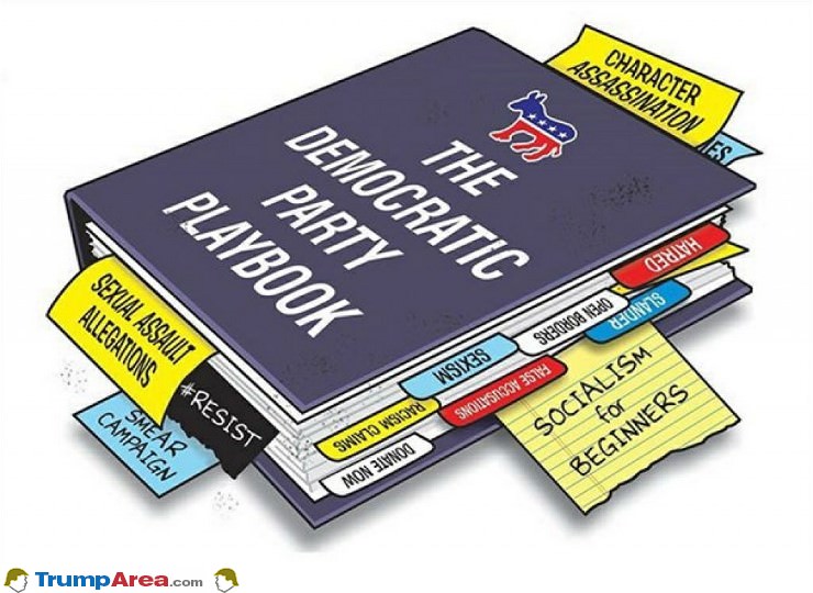 The Democrat Playbook