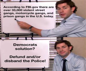 The Democrat Solution