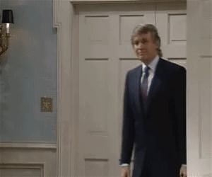The Donald
