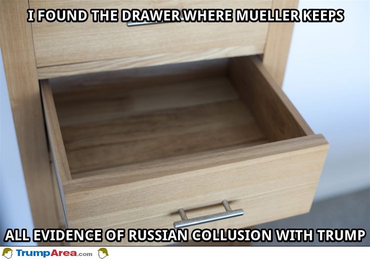 The Drawer